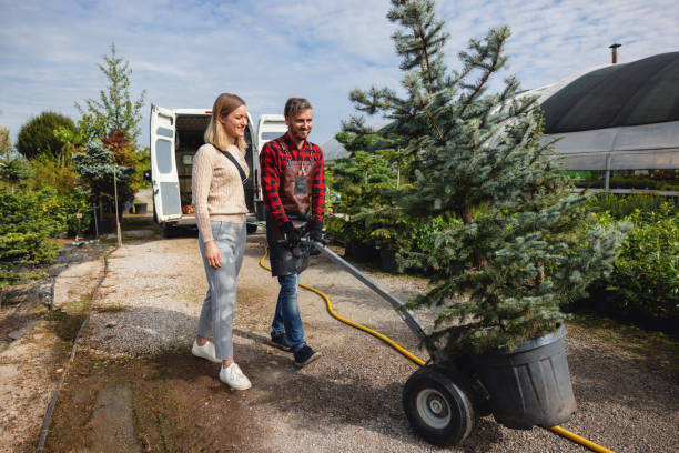 Best Tree Trimming and Pruning  in Mcfarland, CA